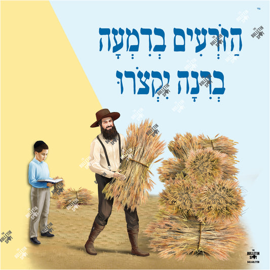 הזרעים בדמעה ברנה יקצורו