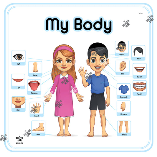 My Body, חלקי הגוף