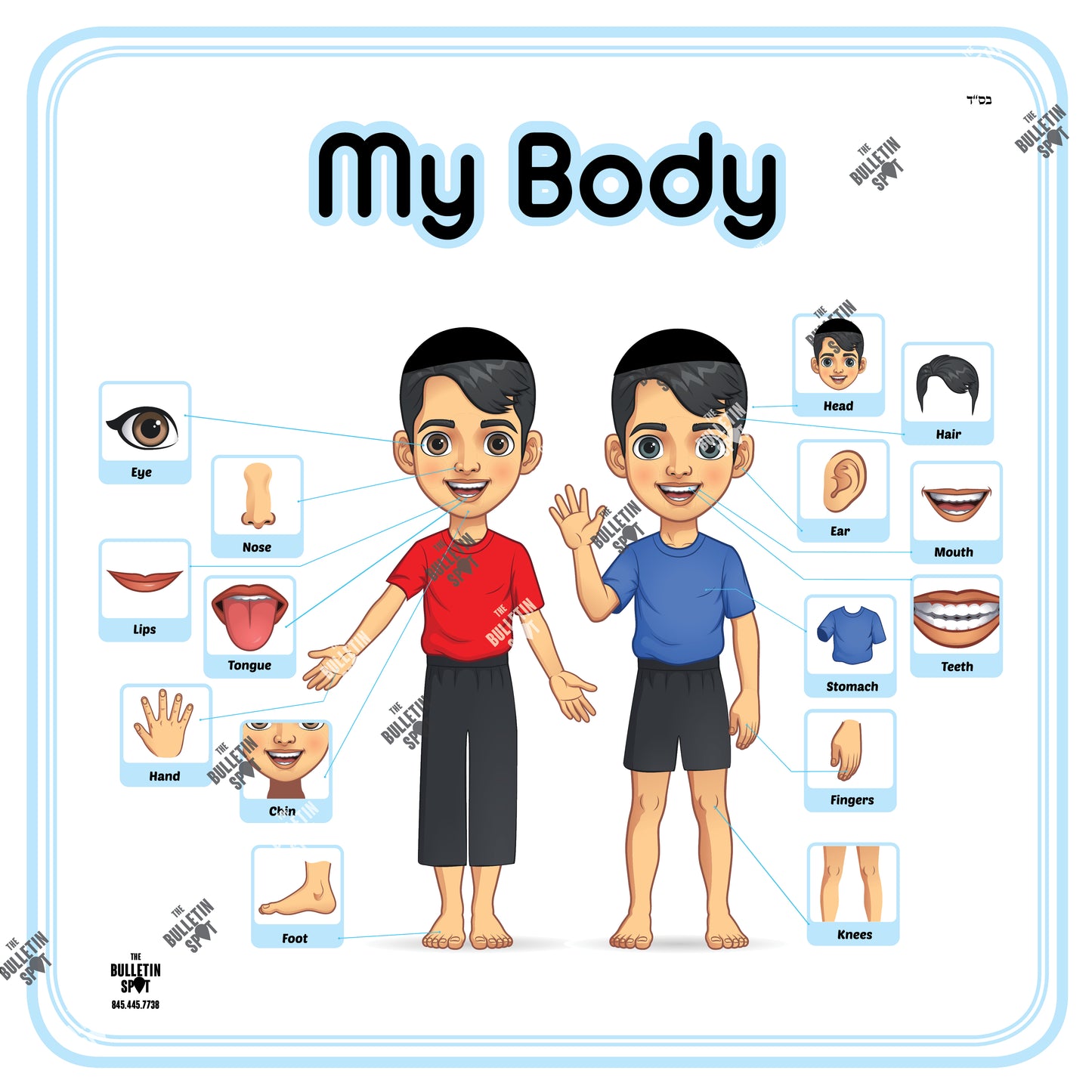 My Body, חלקי הגוף Boys