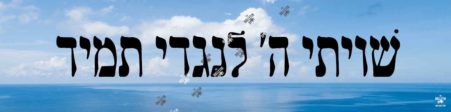 שויתי ה Water