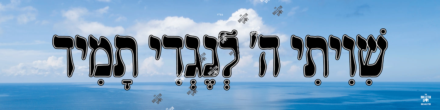 שויתי ה Water